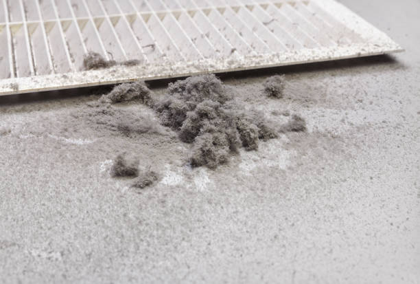 Best Local Air Duct Cleaning Services  in Clay, AL