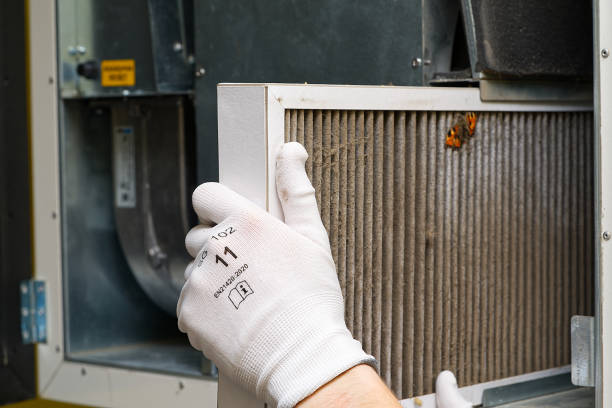 Best Air Duct Cleaning Near Me  in Clay, AL