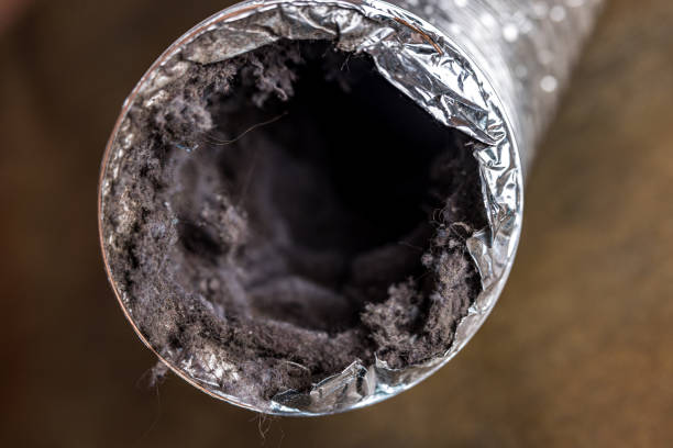 Best Emergency Air Duct Cleaning  in Clay, AL